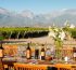 privatni vinograd