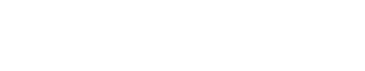 vladimir logo
